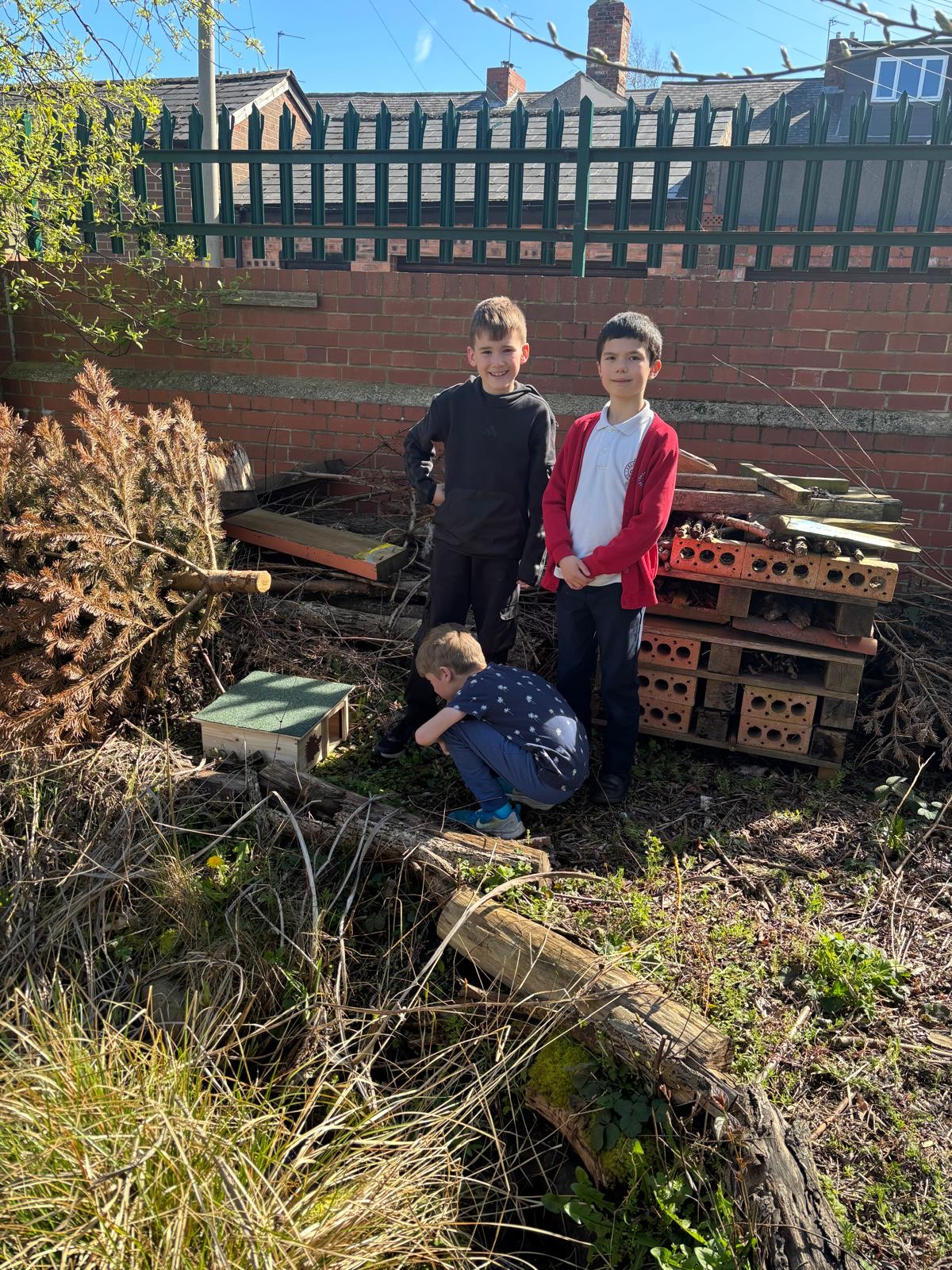 Archibald's Hedgehog friendly site!