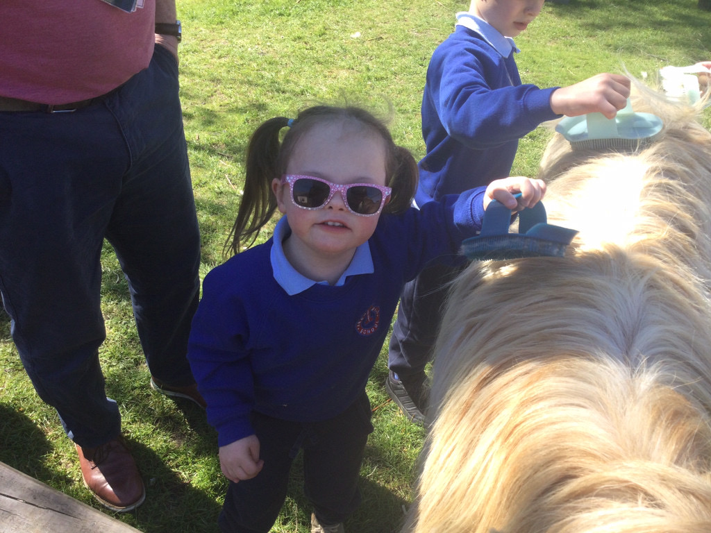 The farm visit Nursery